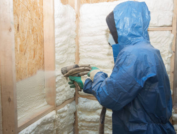 Best Insulation for New Construction  in Tequesta, FL